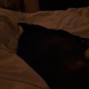 Meet your Posher, Melissa